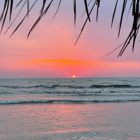 Appartement Golden Pine Retreat - Beachfront